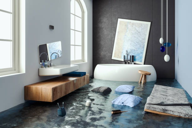Best Mold removal after water damage  in Hallettsville, TX