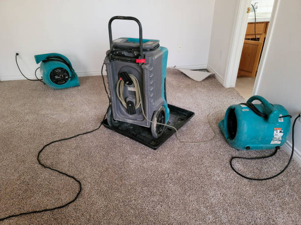 Best Basement water damage restoration  in Hallettsville, TX