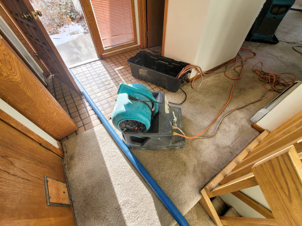  Hallettsville, TX Water damage restoration Pros