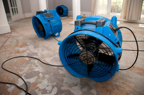 Best Professional water damage repair  in Hallettsville, TX