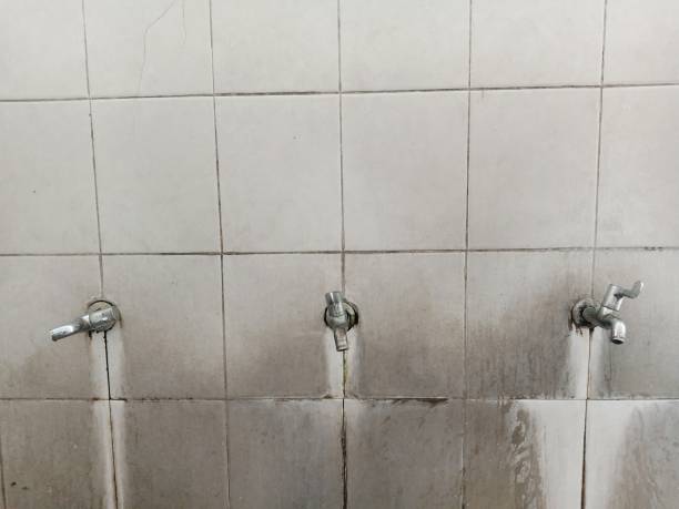 Best Fire Damage Restoration  in Hallettsville, TX